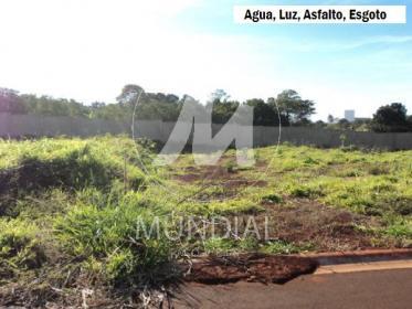 2 - Terreno/Lote