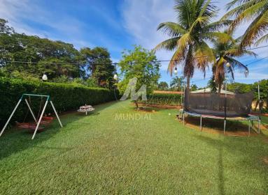 8 - Jardim