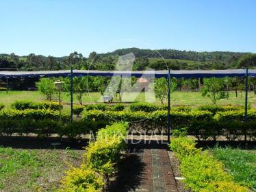 22 - Quintal/corredores