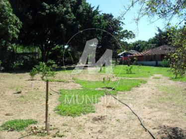 32 - Quintal/corredores