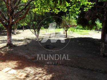 38 - Quintal/corredores