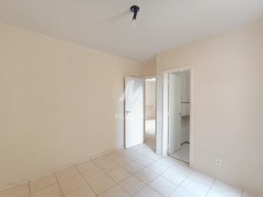 11 - Suite