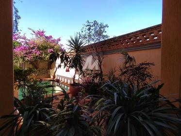 38 - Jardim