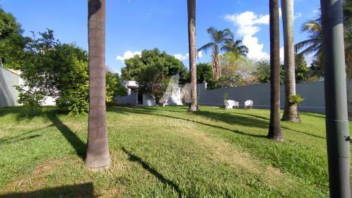 40 - Jardim