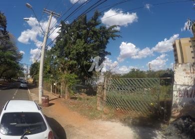 3 - Terreno/Lote