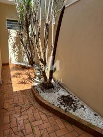 41 - Jardim