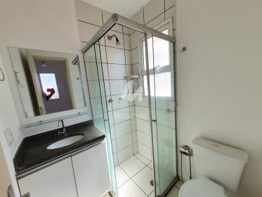 7 - Suite