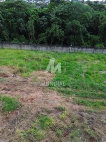1 - Terreno/Lote