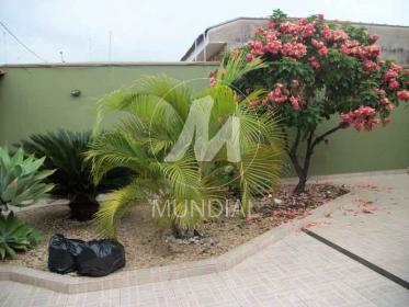 8 - Quintal/corredores