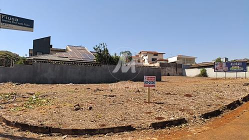 1 - Terreno/Lote