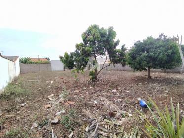 3 - Terreno/Lote