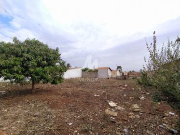 4 - Terreno/Lote
