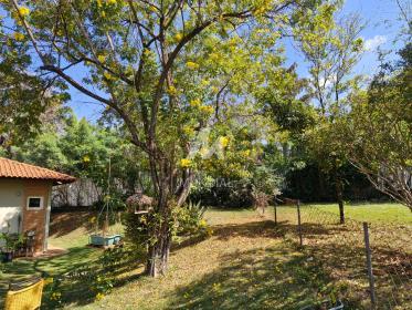 19 - Quintal/corredores