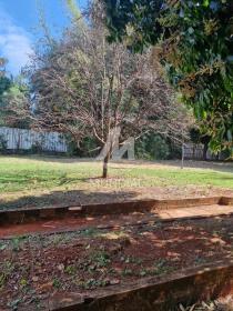 27 - Quintal/corredores