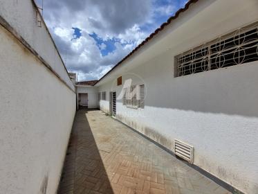 23 - Quintal/corredores