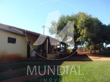 28 - Quintal/corredores