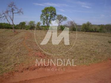 14 - Hidromassagem (Ofurô)