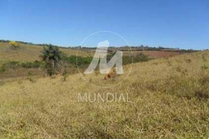 1 - Quintal/corredores