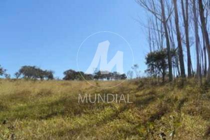 2 - Quintal/corredores