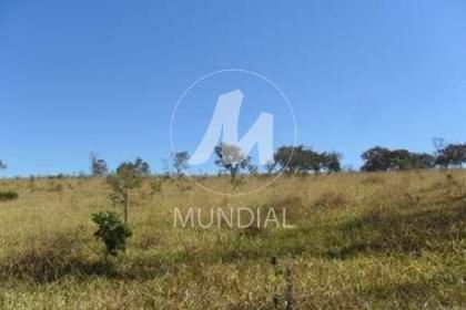 3 - Quintal/corredores