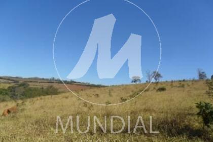 4 - Quintal/corredores