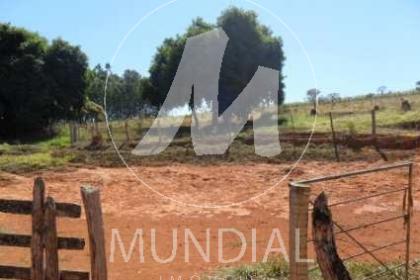 6 - Quintal/corredores