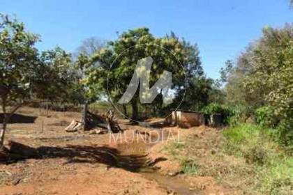 12 - Quintal/corredores
