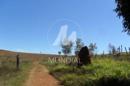 15 - Quintal/corredores