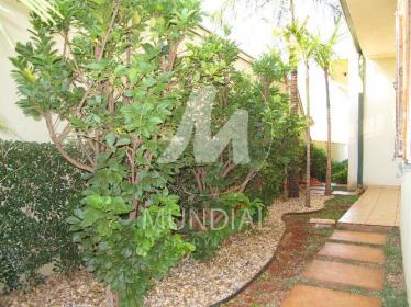 8 - Jardim