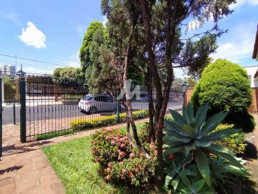 41 - Jardim