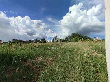 7 - Terreno/Lote
