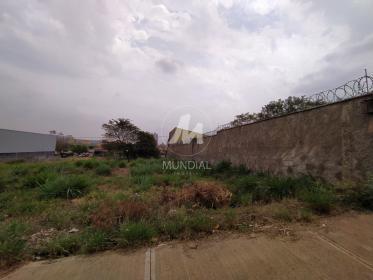 1 - Terreno/Lote