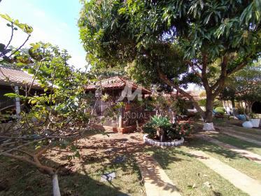35 - Jardim