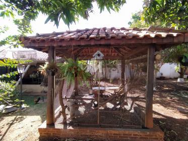 36 - Jardim