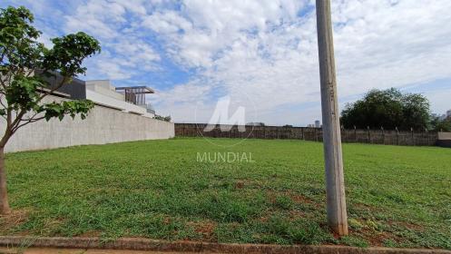 1 - Terreno/Lote