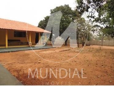 19 - Jardim
