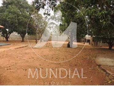 20 - Jardim
