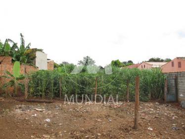 2 - Terreno/Lote