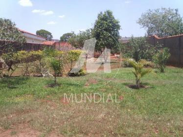 1 - Quintal/corredores