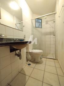 7 - Suite
