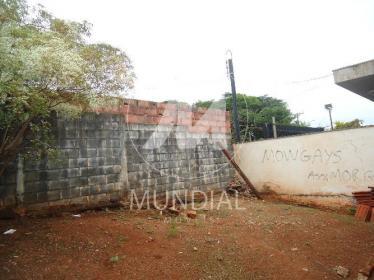 31 - Terreno/Lote