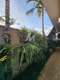 18 - Quintal/corredores
