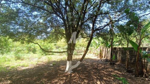 1 - Terreno/Lote