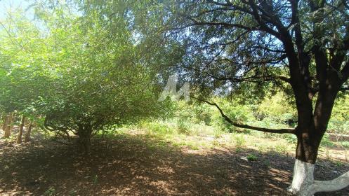 2 - Terreno/Lote