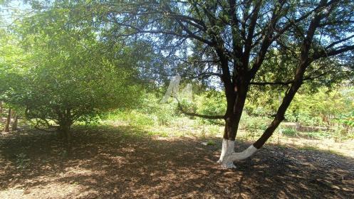 3 - Terreno/Lote