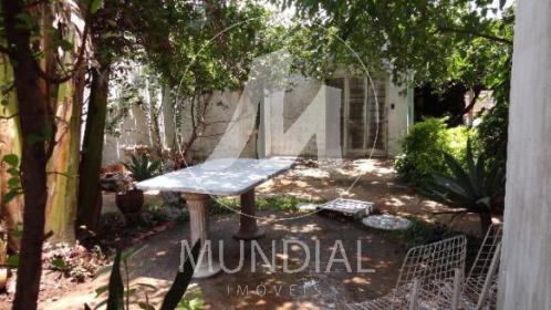 11 - Jardim