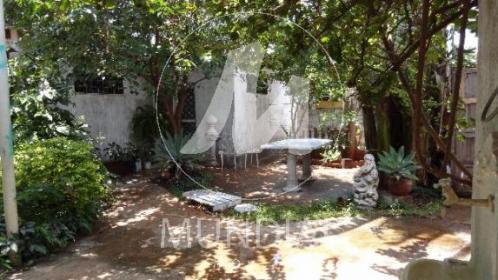 12 - Jardim