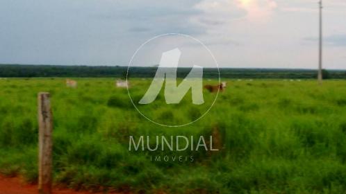 7 - Terreno/Lote