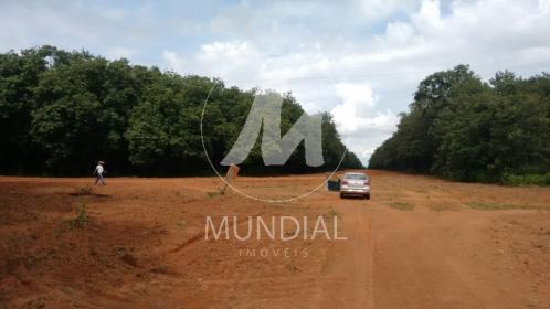 9 - Terreno/Lote