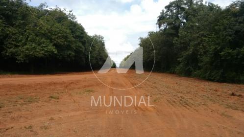 11 - Terreno/Lote